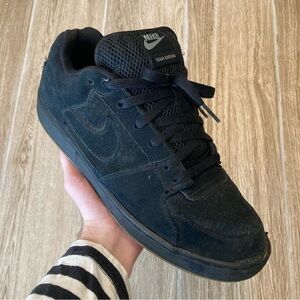 Nike SB Team Edition